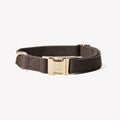 'Brown' - Canvas Dog Collar