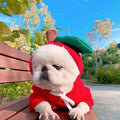 Cute Fruit Dog Hoodie Sweater — 7 Styles, Sizes XS–2XL