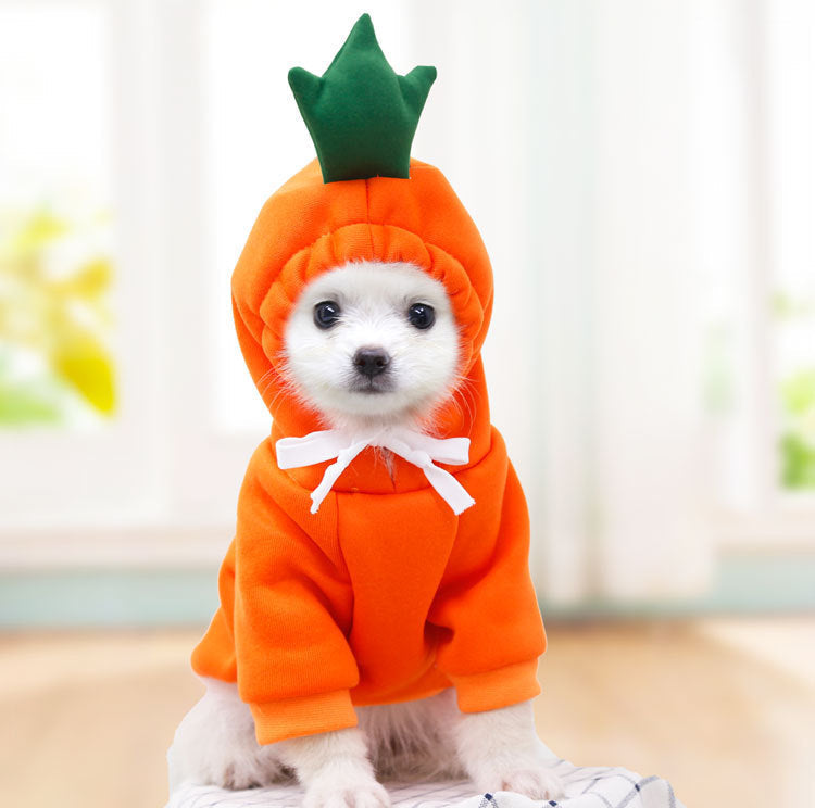 Cute Fruit Dog Hoodie Sweater — 7 Styles, Sizes XS–2XL
