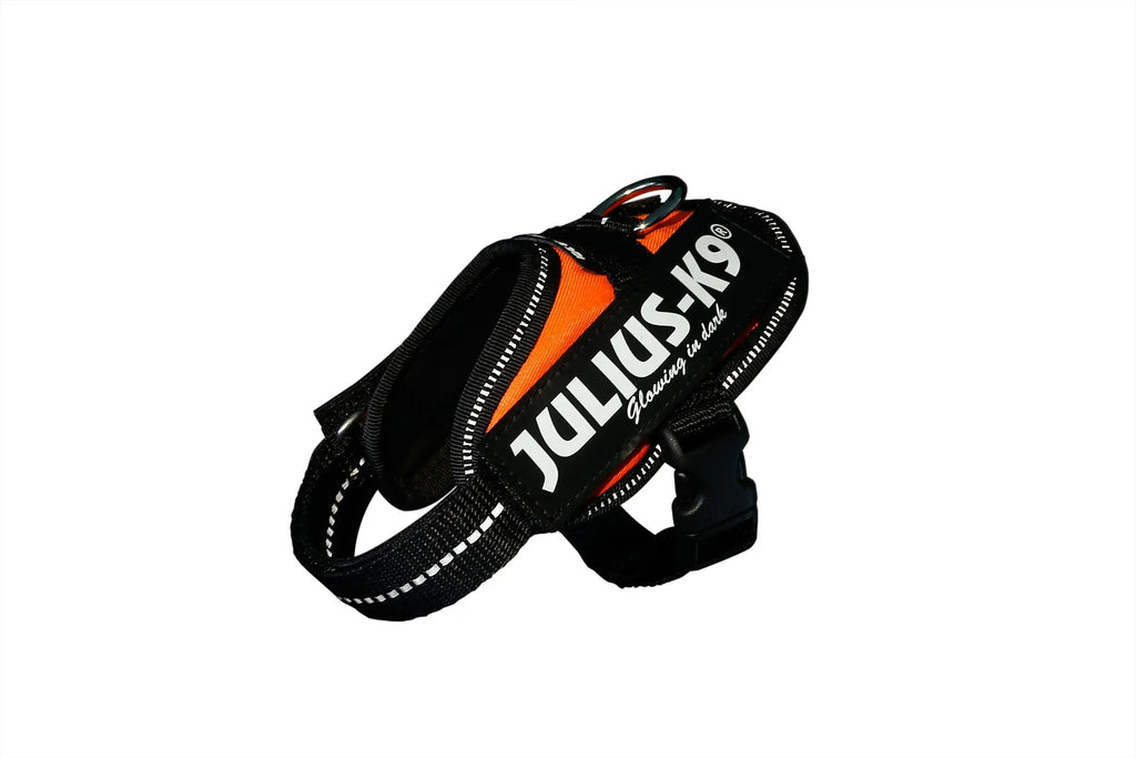 Julius-K9® IDC® Powerharness