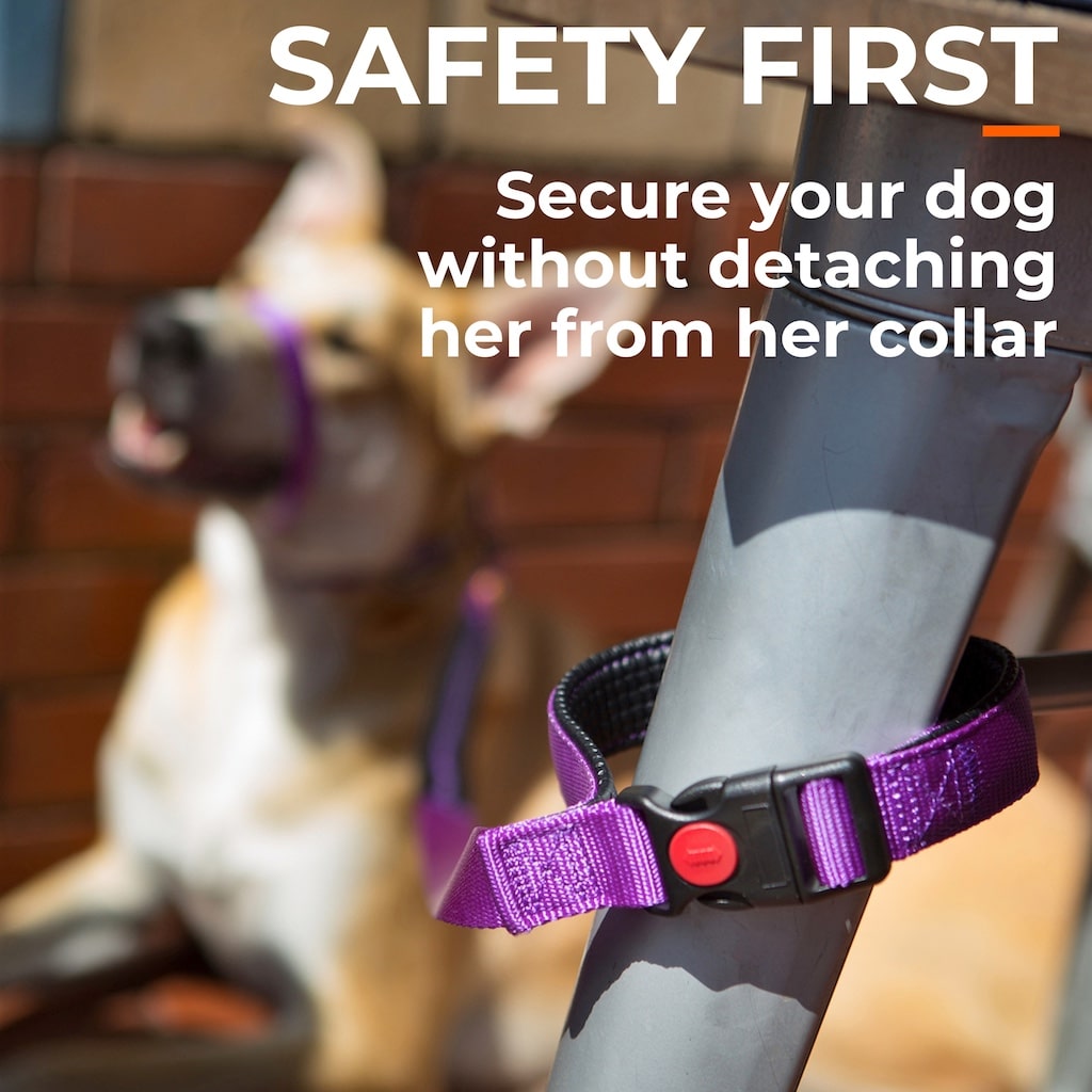 Canny CONNECT Lockable Leash