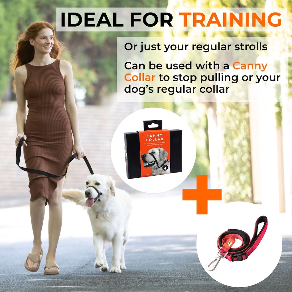 Canny CONNECT Lockable Leash