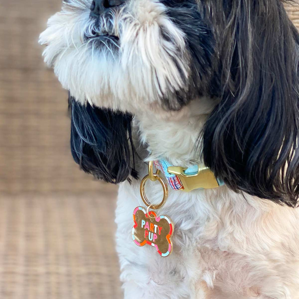 Party Pup Dog Tag