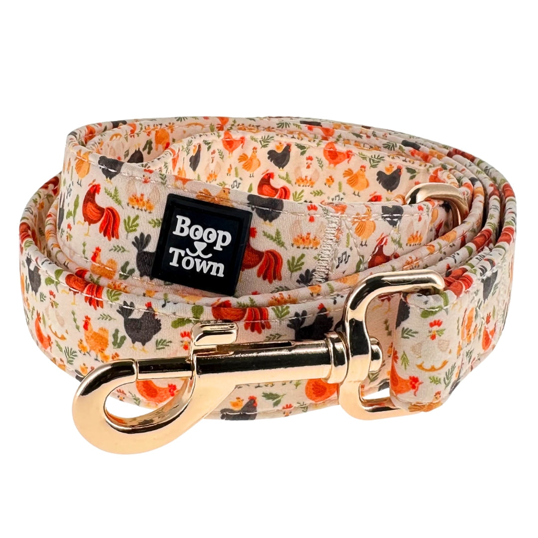 Dog Leashes