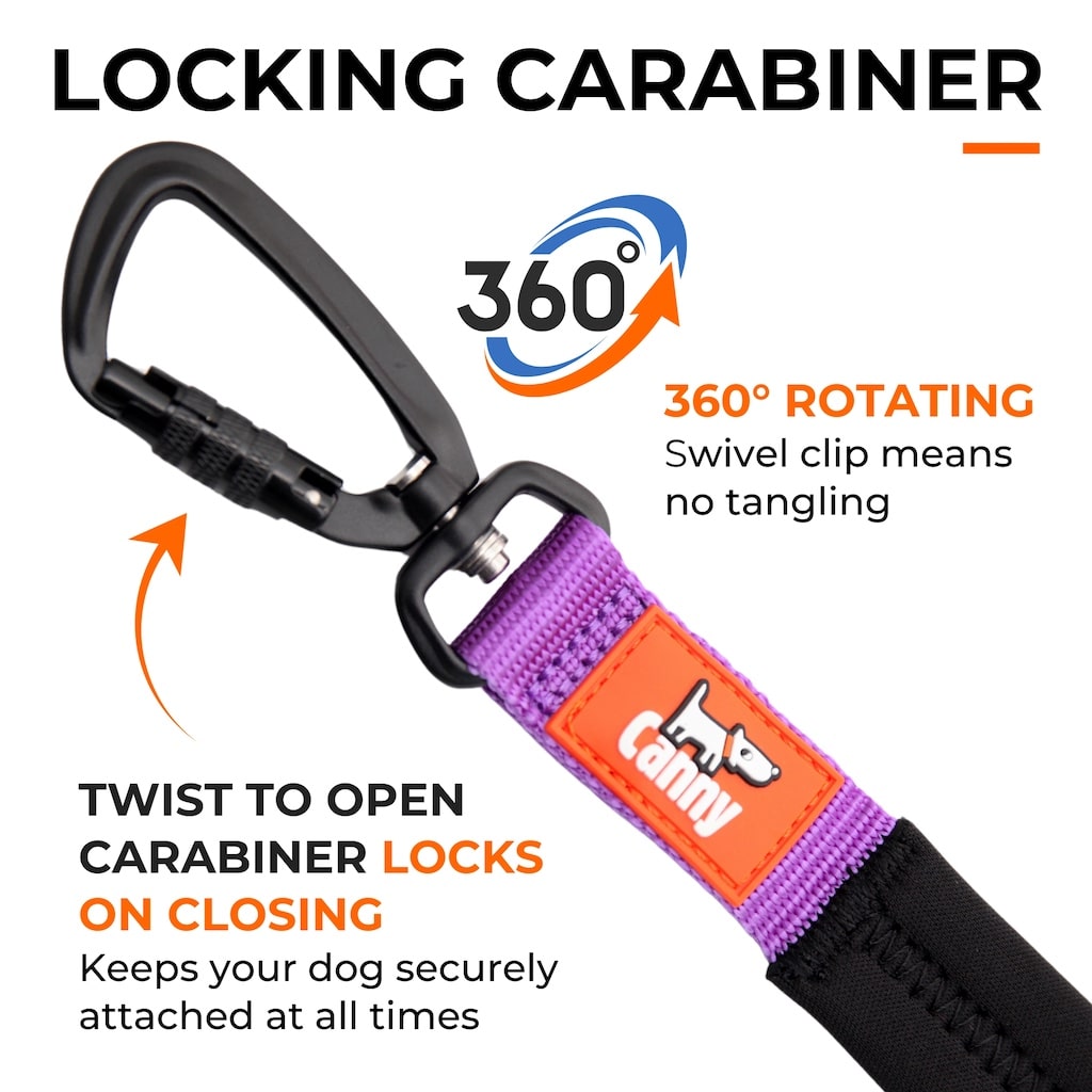 Canny CONNECT Lockable Leash
