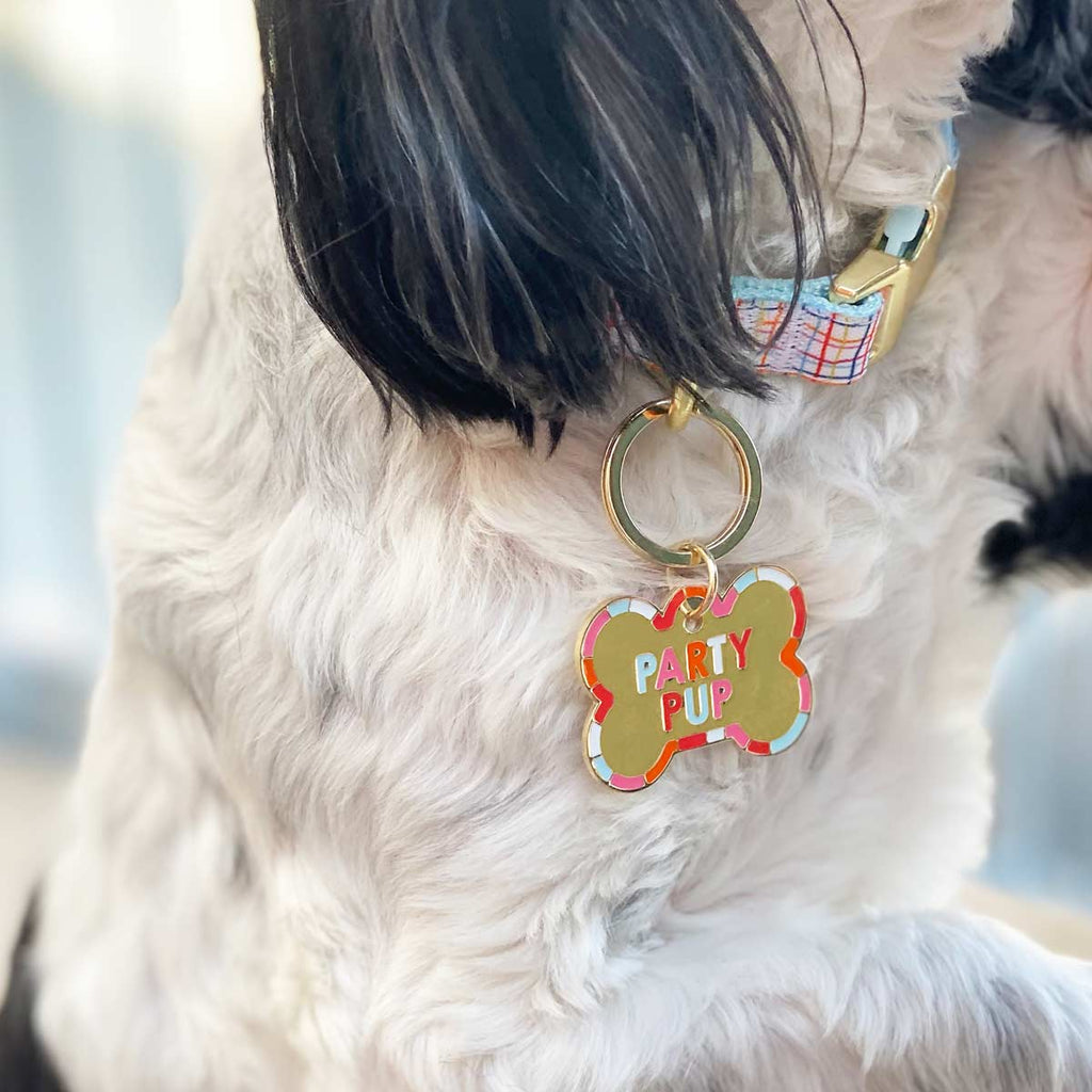 Party Pup Dog Tag