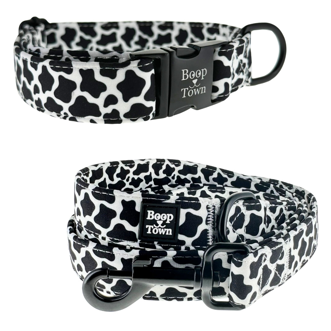 Dog Collar & Leash Sets