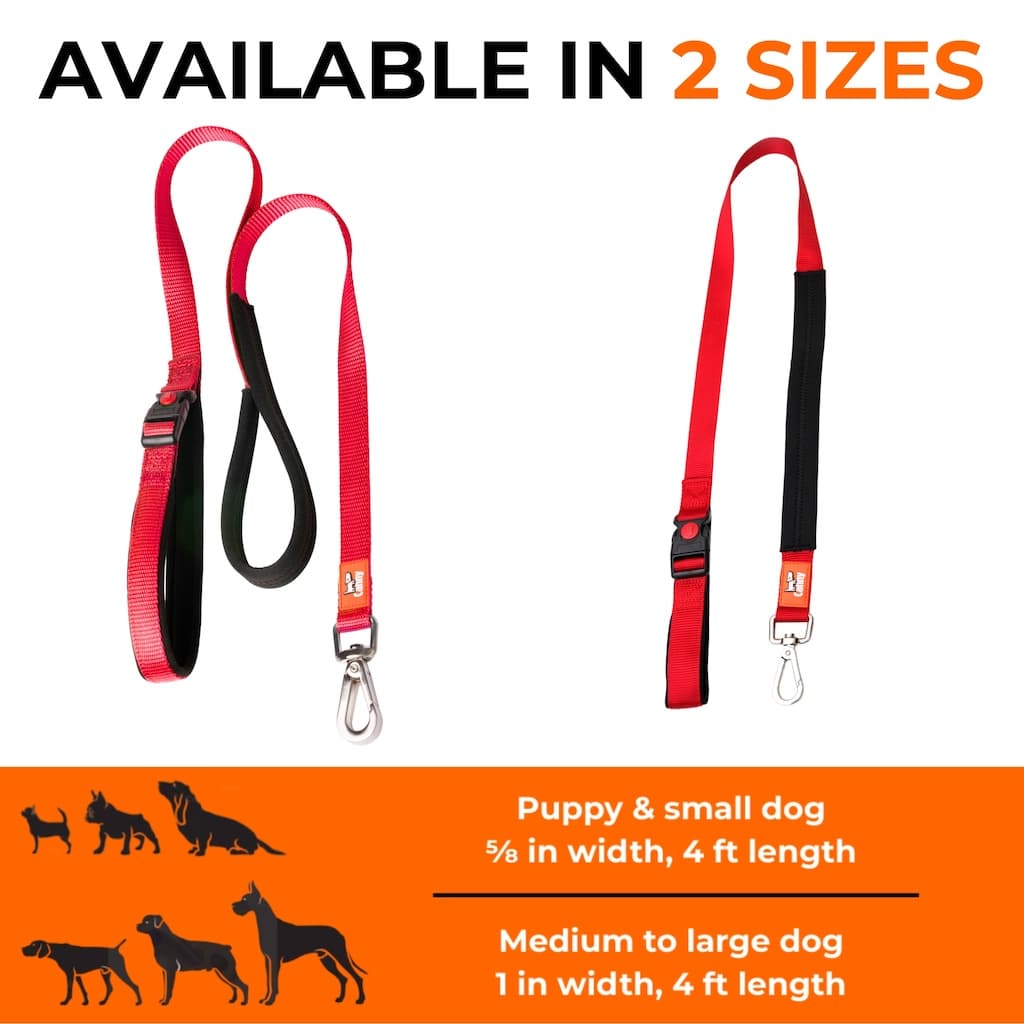 Canny CONNECT Lockable Leash