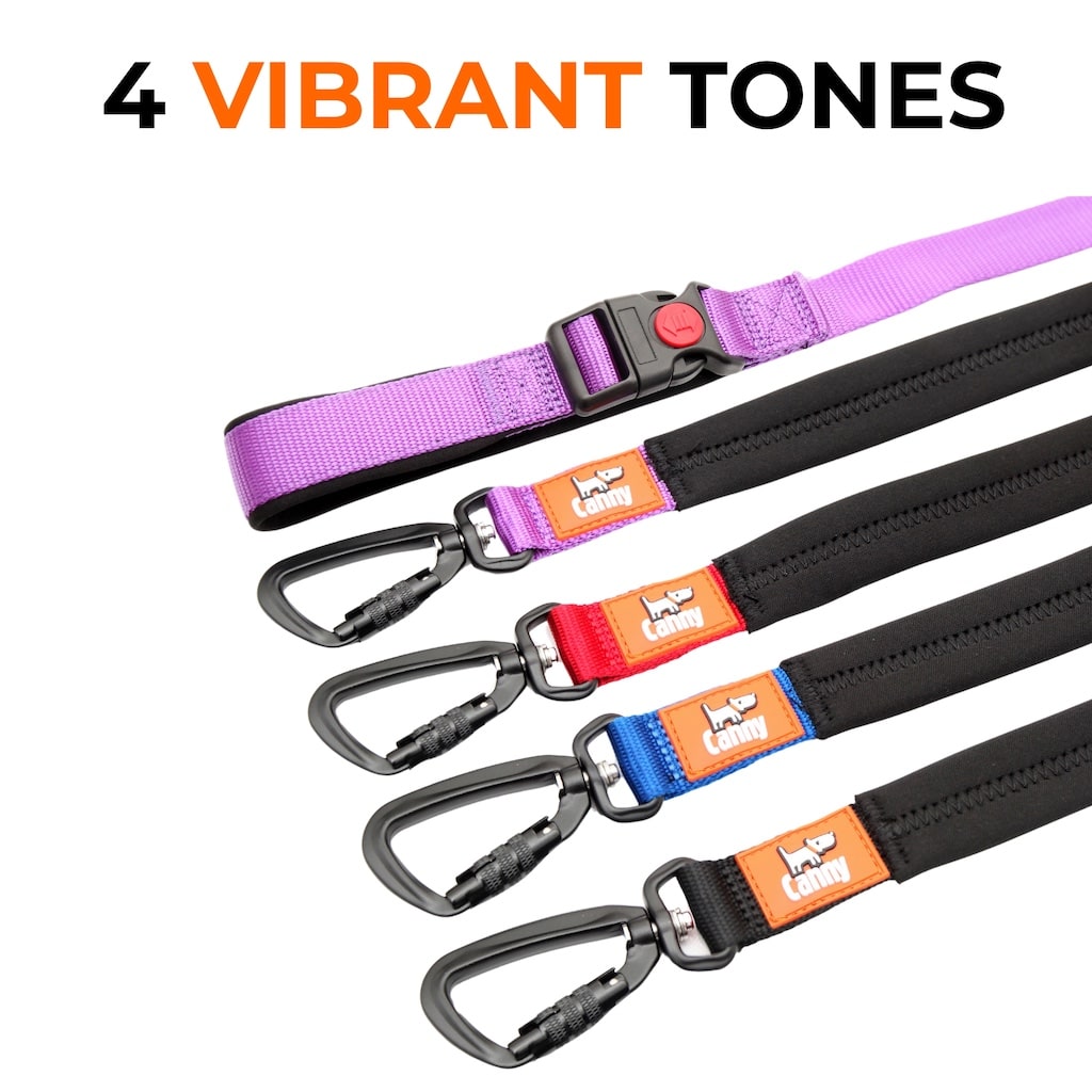Canny CONNECT Lockable Leash