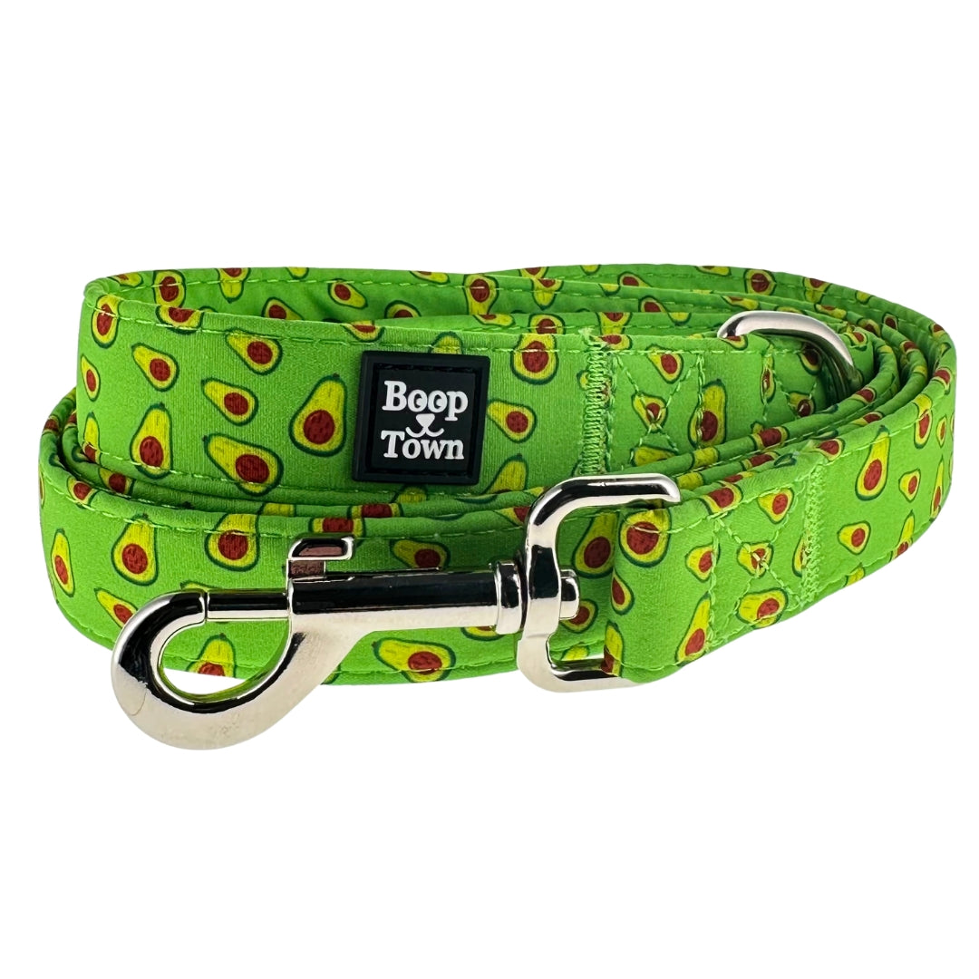 Dog Leashes