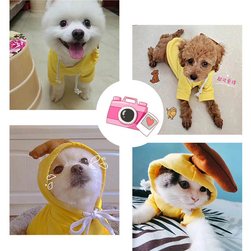 Cute Fruit Dog Hoodie Sweater — 7 Styles, Sizes XS–2XL