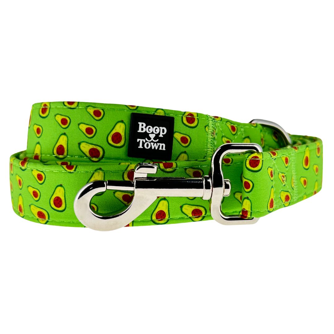 Dog Leashes