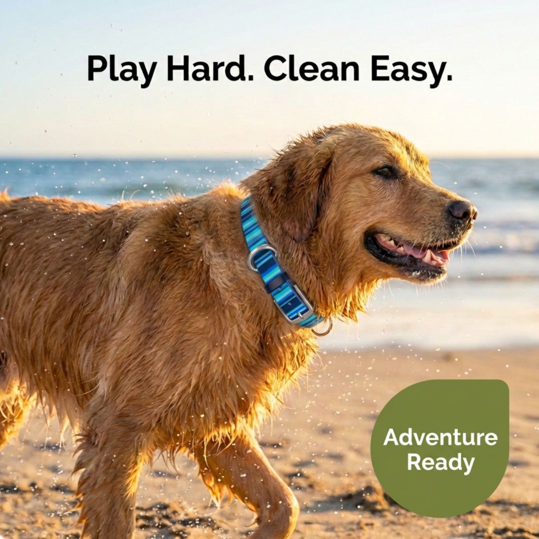 Waterproof Dog Collars – Washable Dog Collar, Stink-Proof & Durable