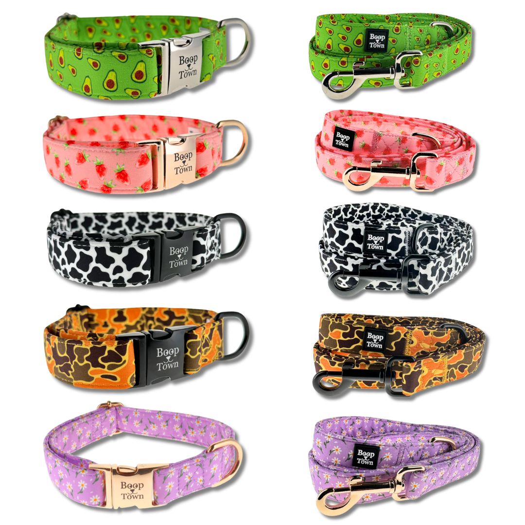 Dog Collar & Leash Sets