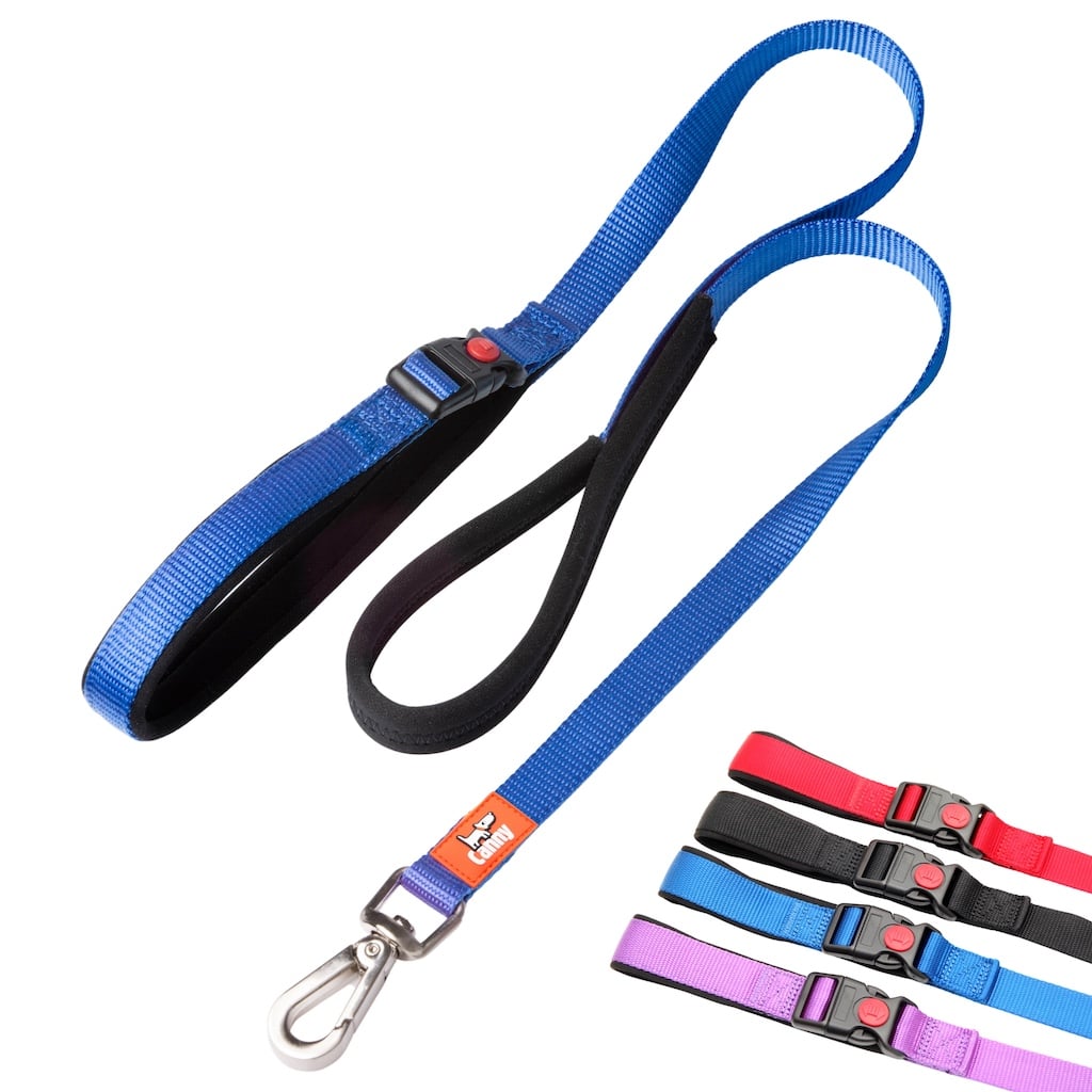 Canny CONNECT Lockable Leash