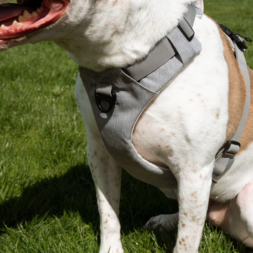 Magnetic Dog Harness with Handle - Easy On, No-Pull Design