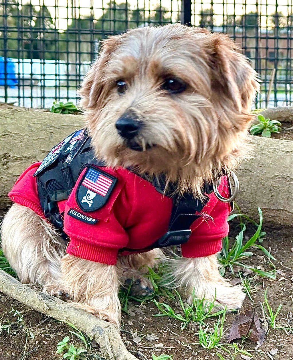 H1 Tactical Dog Hoodie
