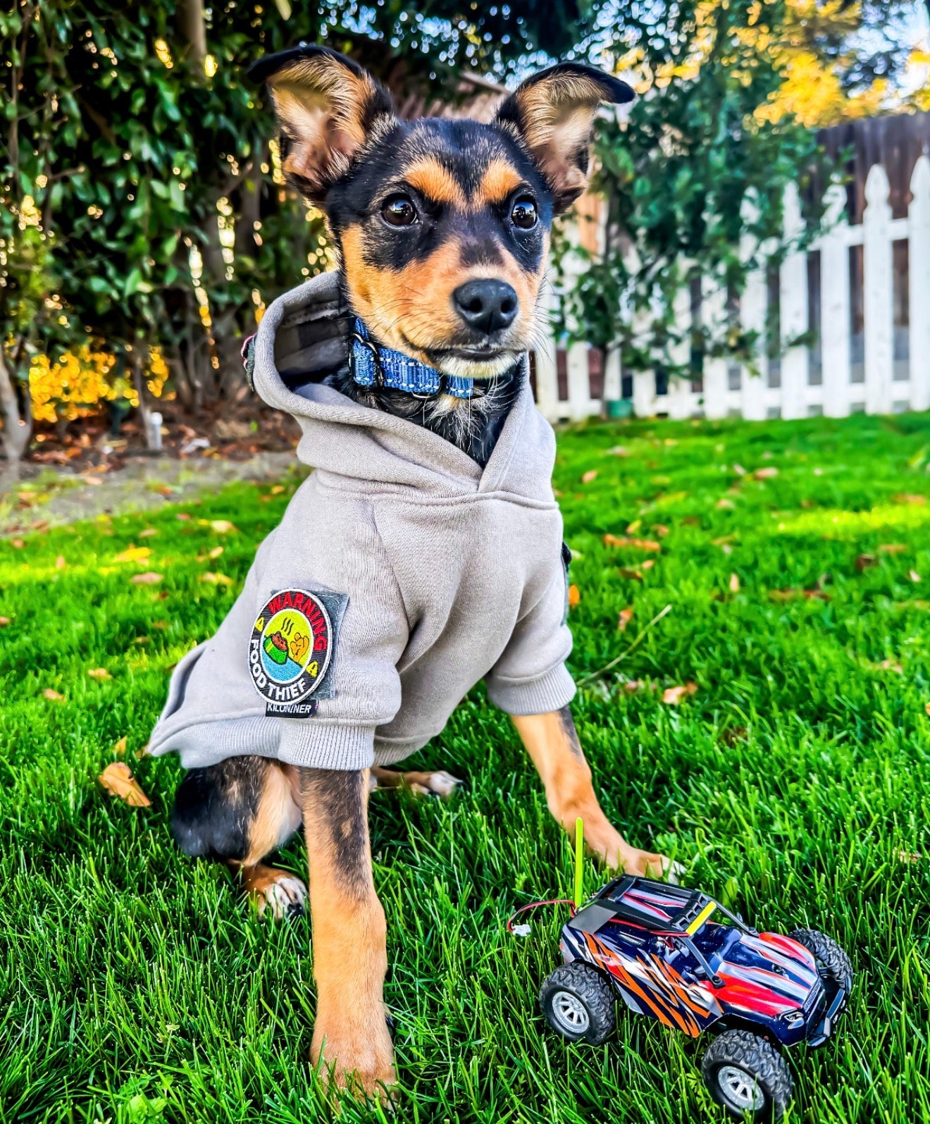 H1 Tactical Dog Hoodie