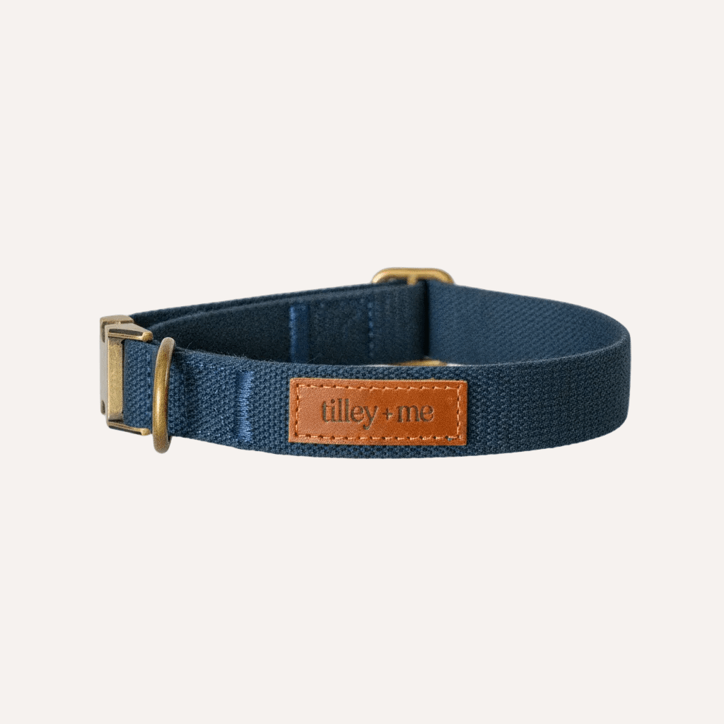 Tilley + Me Hemp Cotton Dog Collar – Durable, Adjustable, Soft – Joshua Tree