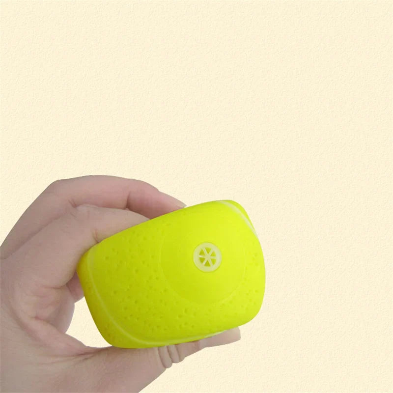 Squeaky Pet Dog Ball Toy for Small Dogs | Interactive Rubber Chew Toy