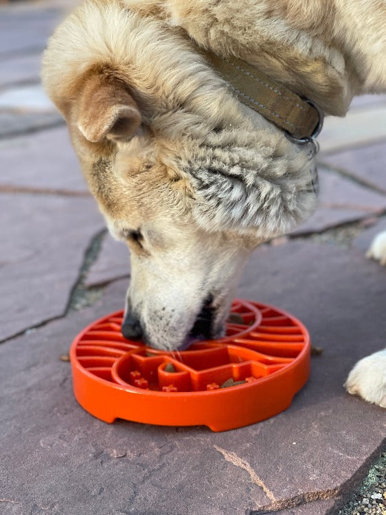Sun and Moon eTray - Shallow Slow Feeder Dog Bowl for Enrichment | USA Made