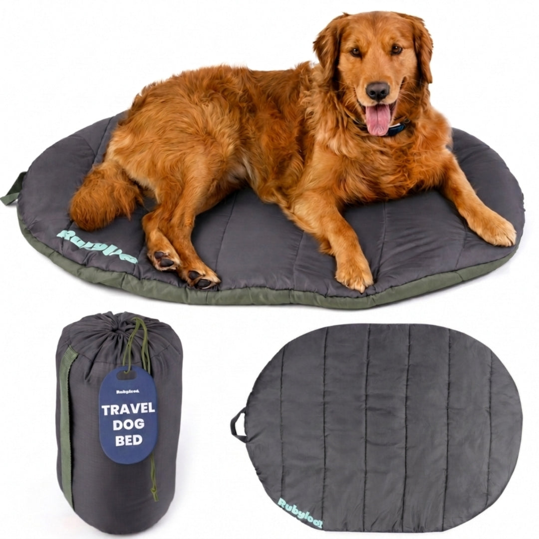 Travel Dog Bed - Foldable & Packable for Travel, Road Trip, Camping