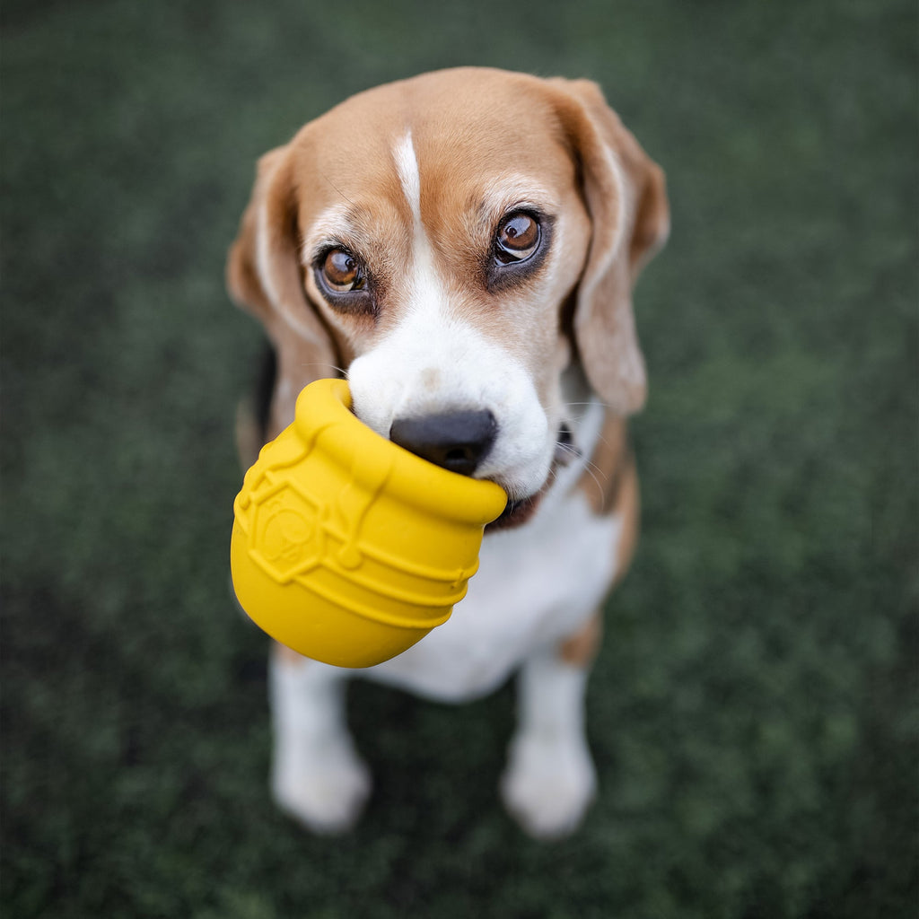 Honey Pot Dog eCup Treat Dispenser | Durable PUP-X Rubber Enrichment Toy | USA Made