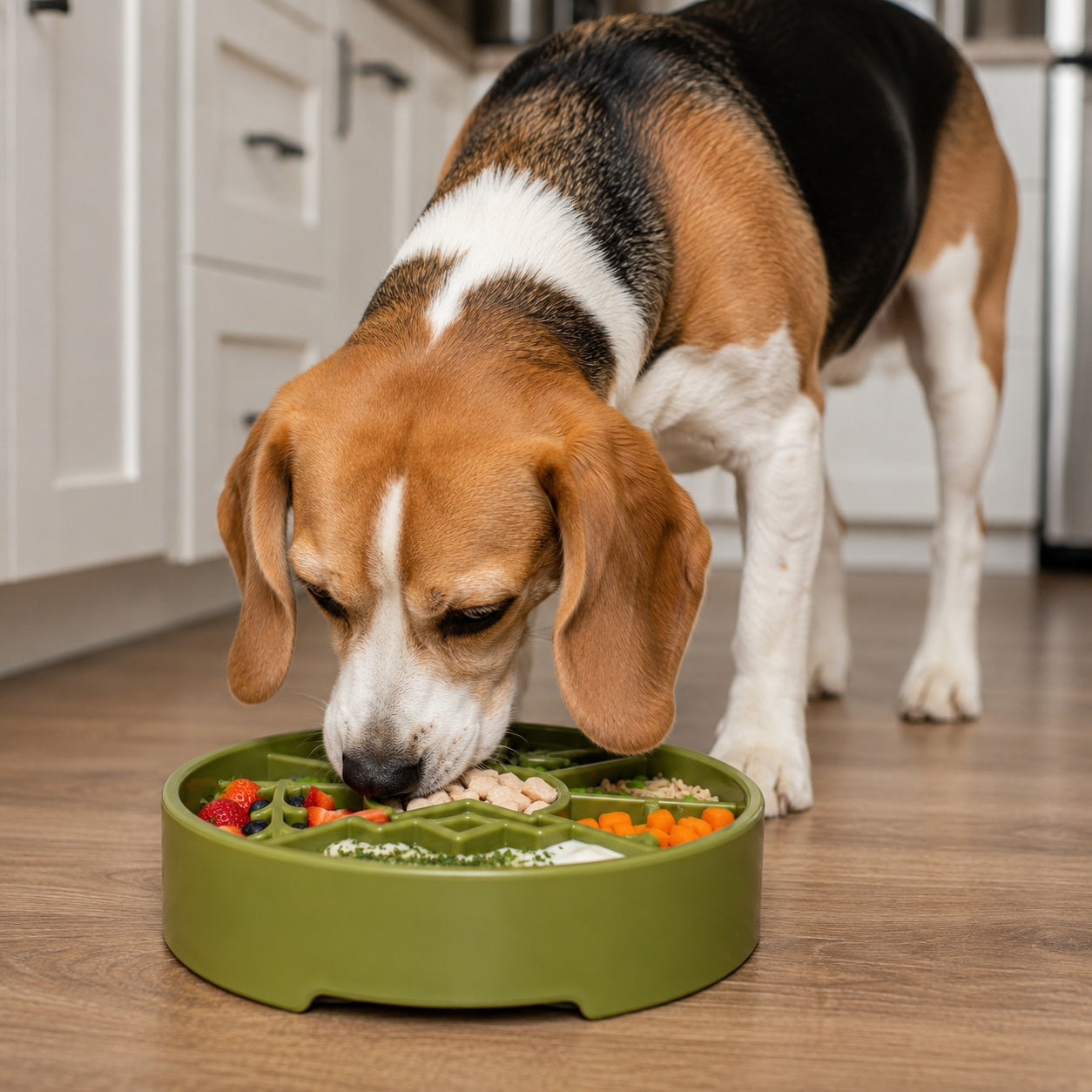 Great Outdoors eBowl - Slow Feeder Dog Bowl & Enrichment | USA Made
