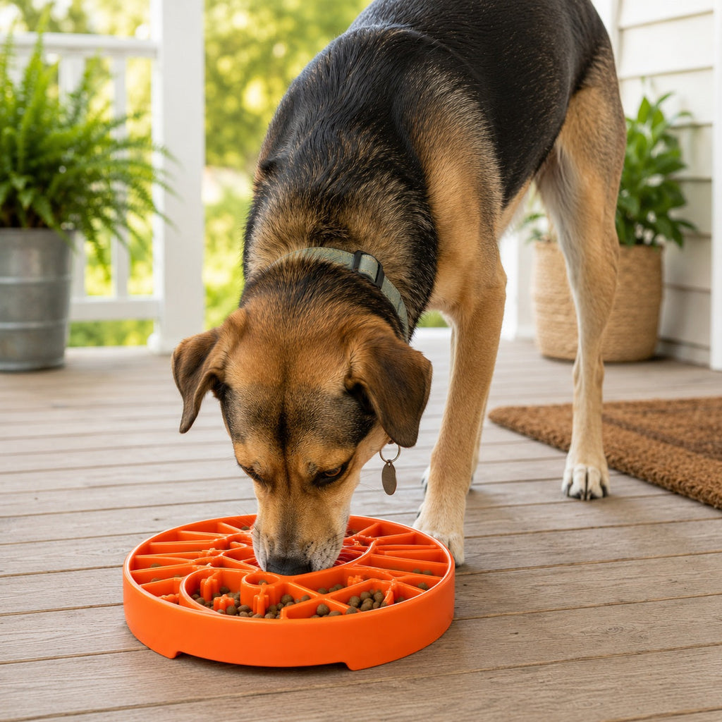 Sun and Moon eTray - Shallow Slow Feeder Dog Bowl for Enrichment | USA Made