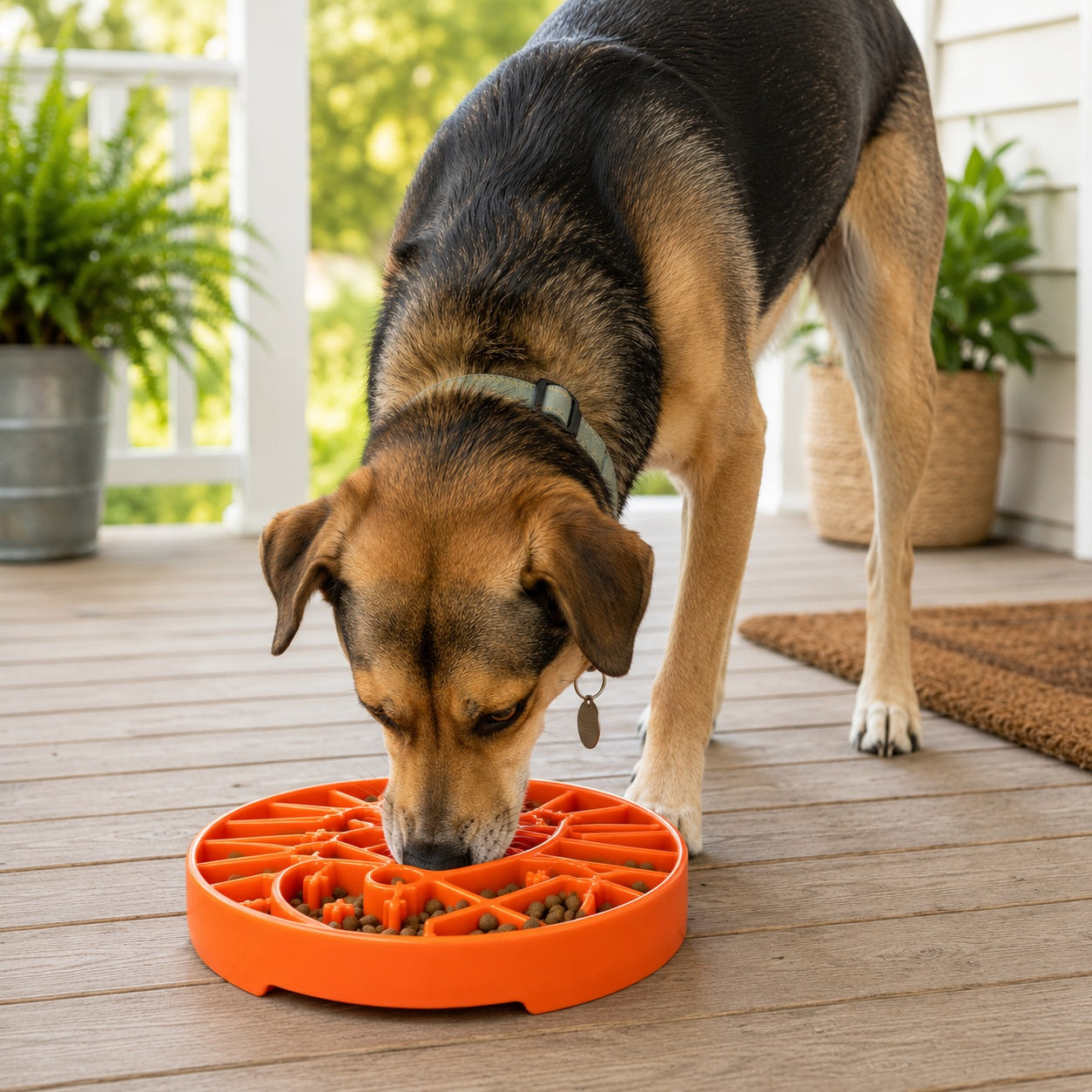 Sun and Moon eTray - Shallow Slow Feeder Dog Bowl for Enrichment | USA Made