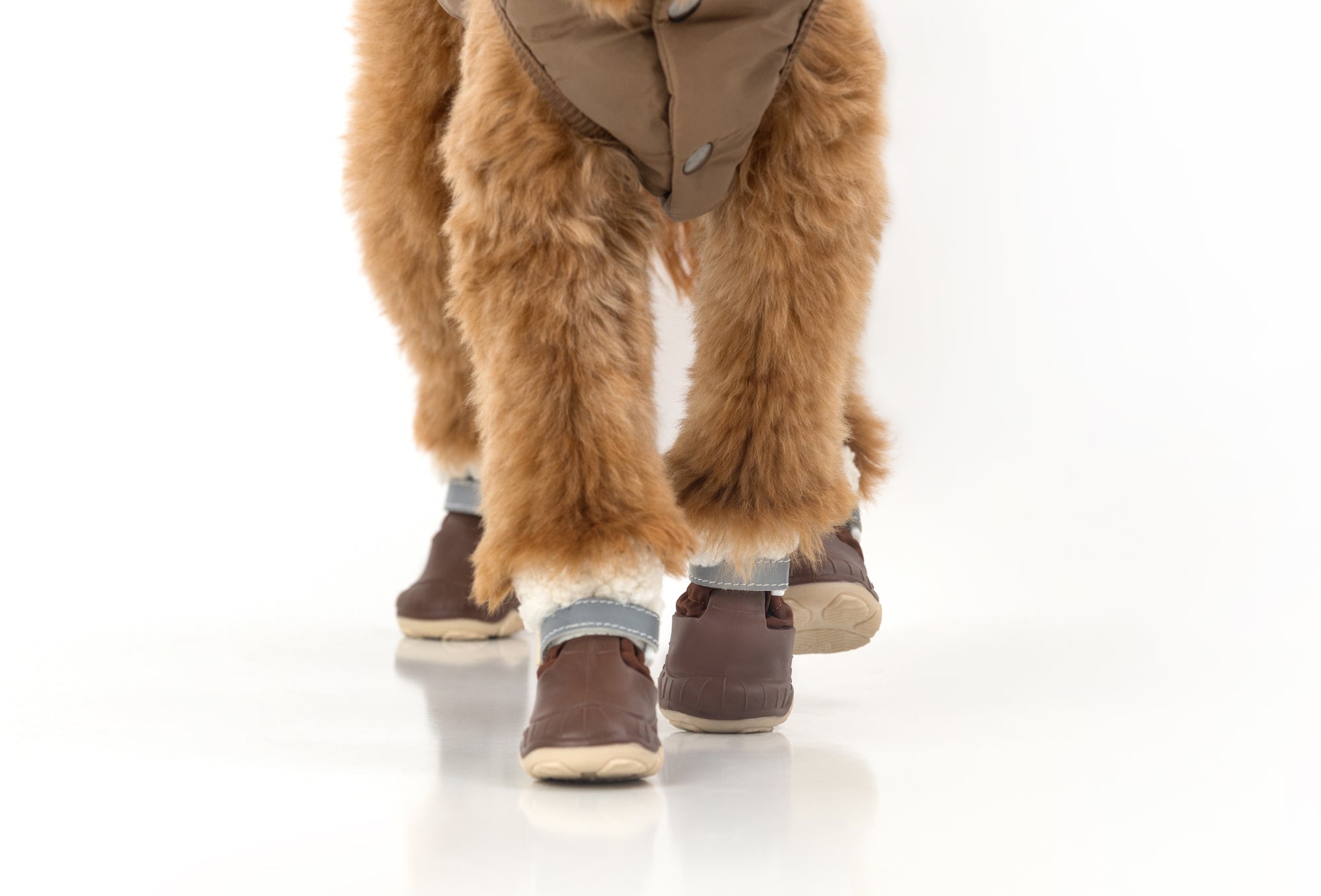 The Stassi- Dog Snow Boots