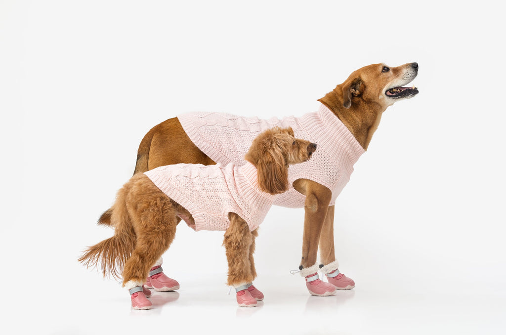 The Stassi- Dog Snow Boots