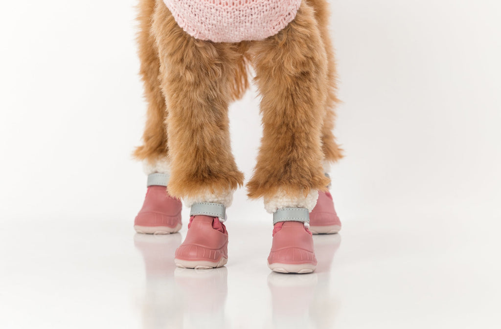 The Stassi- Dog Snow Boots
