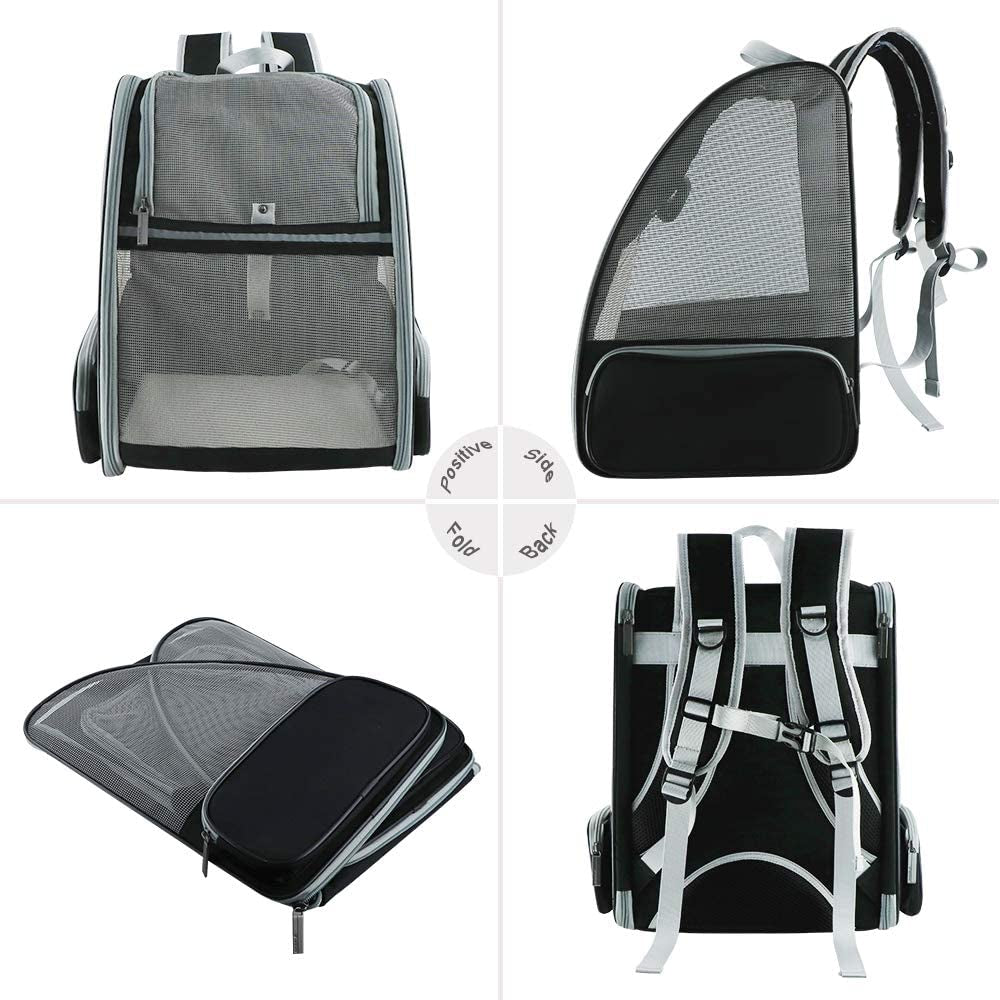 Bubble Backpack Pet Carriers for Cats and Dogs