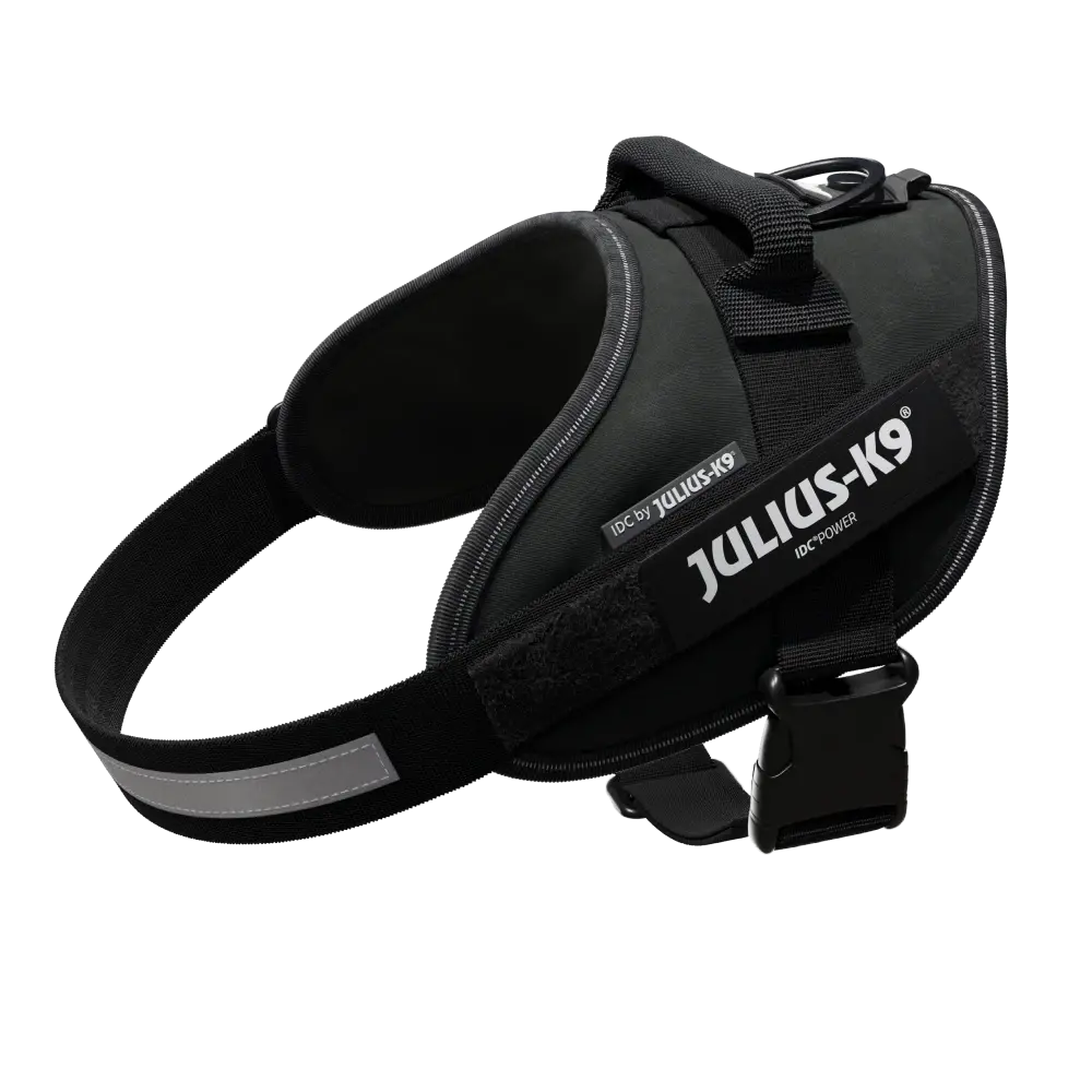 Julius-K9® IDC® Powerharness