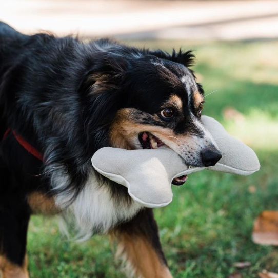 Natural Dog Toy Bundle for Cuddles, Fetch and Tugging - Small to Large Dogs Options | Boba & Vespa
