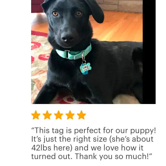 Personalized Dog Name Tag - Dog ID Tag - Mint Navy Custom Dog Collar Tag - Dog Tag Chevron Pattern