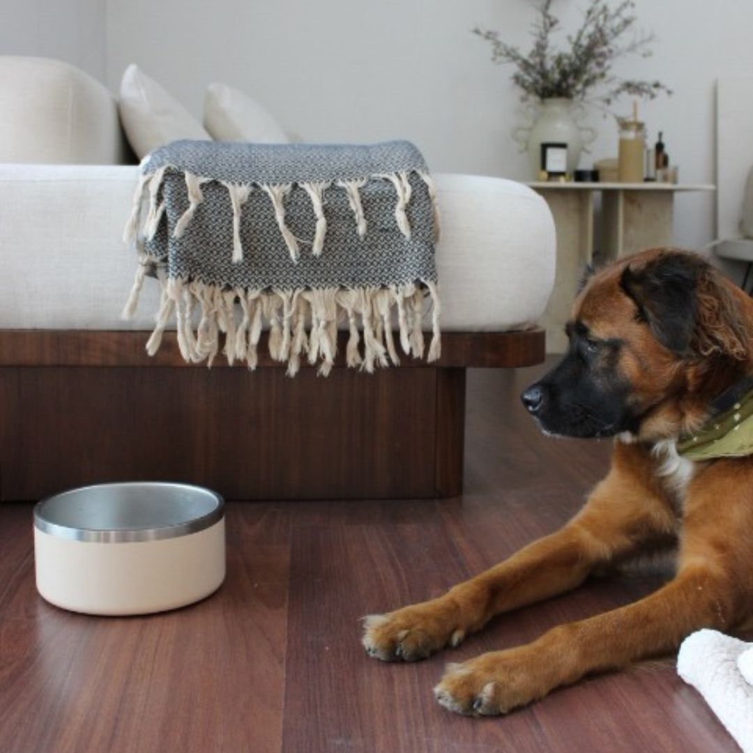Tilley + Me Stainless Steel Pet Bowl – Non-Slip, Durable & Dishwasher Safe | 32oz and 64oz